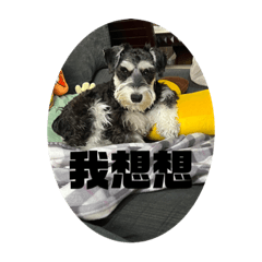 世子阿迪
