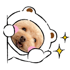 sakura_20230829143213