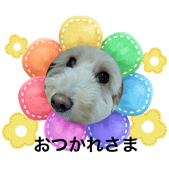 Arisa_20230829144812