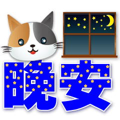 cute Calico cat-practical everyday