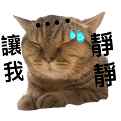圓圓寶寶首次亮相！