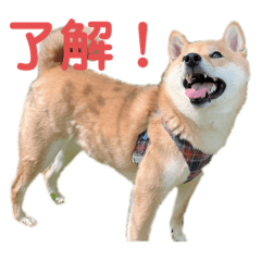 riri_20230829170816