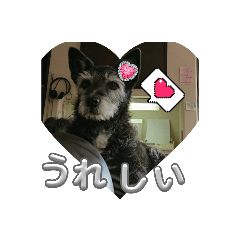 hana.hima