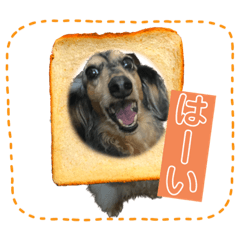 natsumi_20230830082442