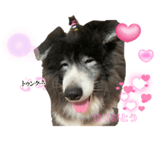 SAKURA_20230829232719