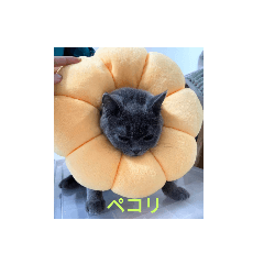 Yumichima_20230830134235