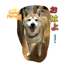 yuka_20230830093457