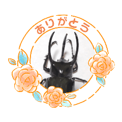 Insect Mushiko_beetlesJapanese