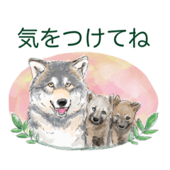 CHISA_watercoler_wolf01
