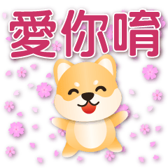 Cute Shiba Inu - Practical Greeting*.*