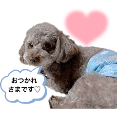 Arisa_20230830141519