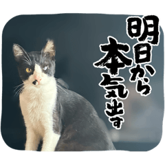 nao_20230830144719