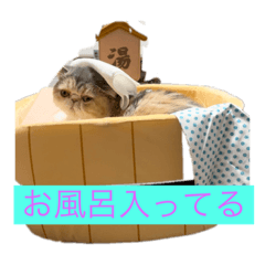 hana_20230830145635