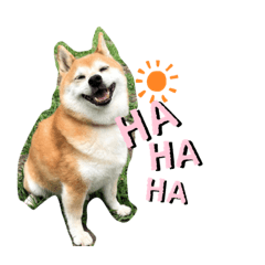 Y_20230830170101