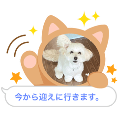 Nanamomo_20230830174120