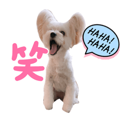 sakura_20230830203502