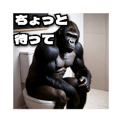 Daily life of a muscle gorilla