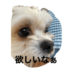 aoi_20230830210546