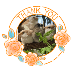 SAYURI_20230830231922