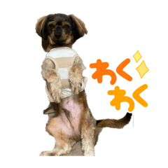 RIRA_20230830195406 - Stiker LINE | LINE STORE