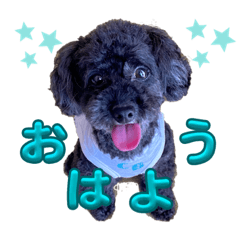 Mayuyu_20230830230122