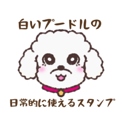 White poodle stamp