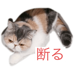 hana_20230830180133
