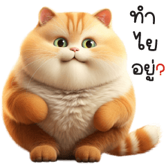 Cute Fat Cat TuaTung