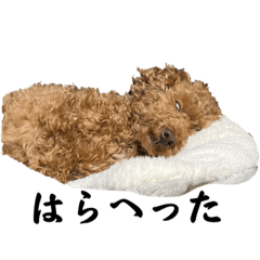 arisa_20230831142034