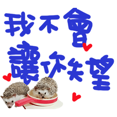 Araw-araw na Cute Healing Hedgehog-11