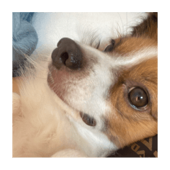 chisa_20230831150412