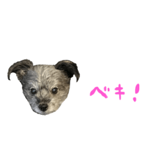 arisa_20230831154955