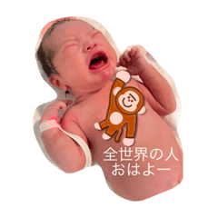 sunny_20230831172331