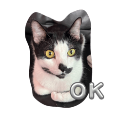 Micky_20230831171221 - LINE スタンプ | LINE STORE