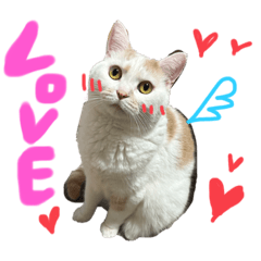 omochi_20230831184537