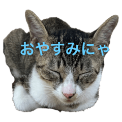 Hi_20230831210321