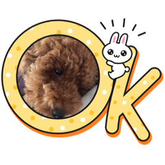 yuka_20230831215817