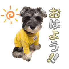 Natsumi_20230831204120