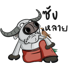 Buffaloman_Isaan language