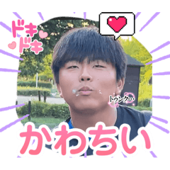 trainer_20230831234016