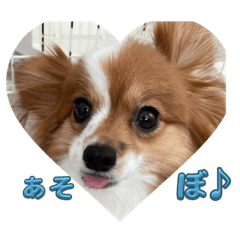 Yuka_20230901011007