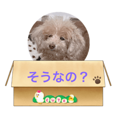 junko_20230831175958