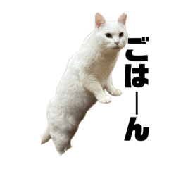 Moo_20230901055846