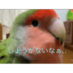 Tori_20230831232400