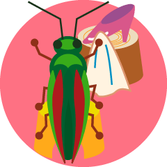 insects and small animals