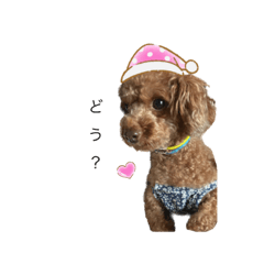 yuka_20230831232607
