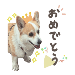 RAIN's sticker