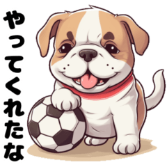 Dog love soccer