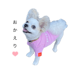 yuka_20230901164454