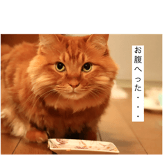 aoi_20230901224149